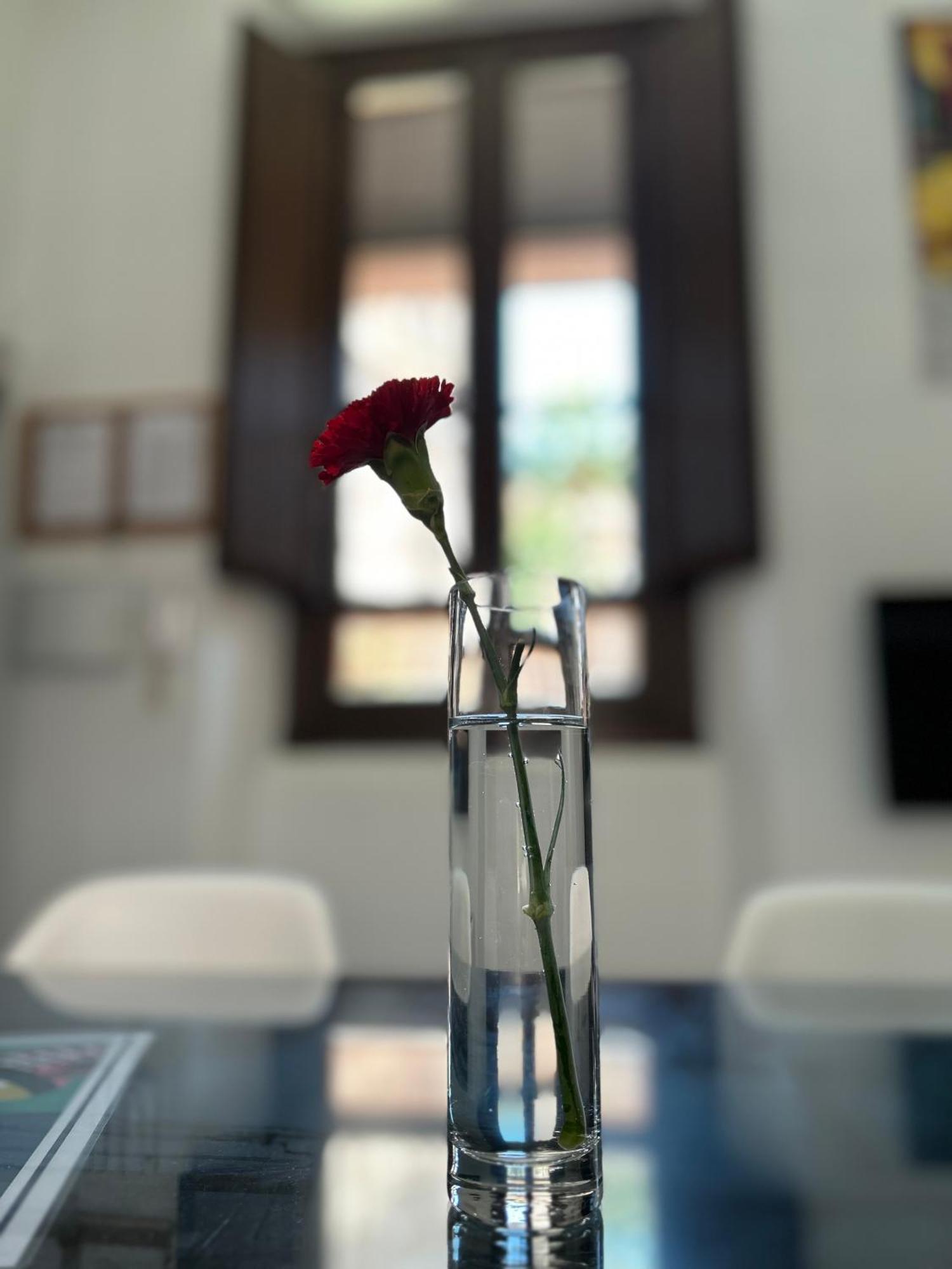 Romanilla Loft Pangsapuri